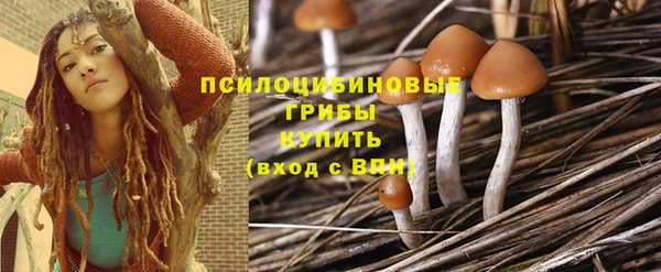 дмт Сосновый Бор